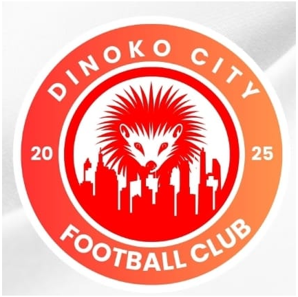 Dinoko City FC crest