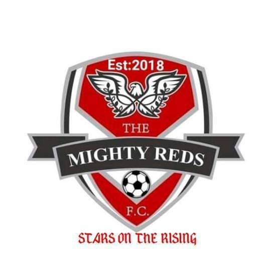 Psd FC crest