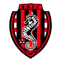 Summerfield Dynamos FC crest