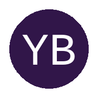 Young Boys FC crest