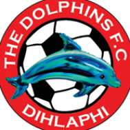 The Dolphins FC crest