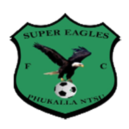 Super Eagles crest