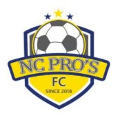 NC Professionals FC crest