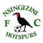 Nsingizini Hotspurs crest
